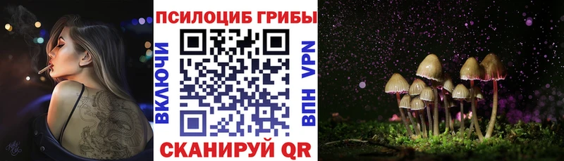 Псилоцибиновые грибы ЛСД Удачный