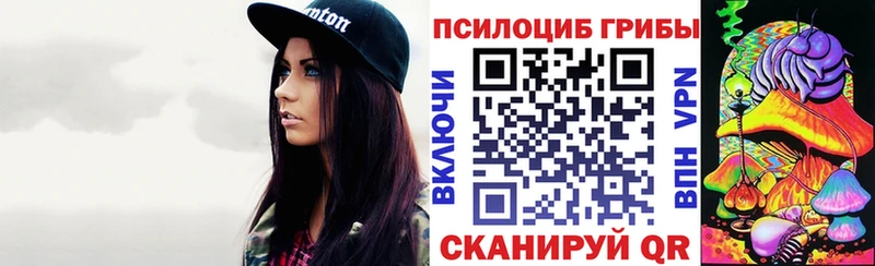 Псилоцибиновые грибы мухоморы  цены наркотик  Удачный 